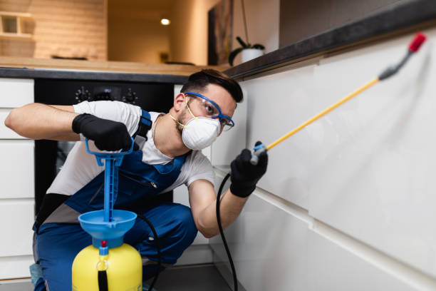 Best Pest Removal Services  in Wyndmoor, PA